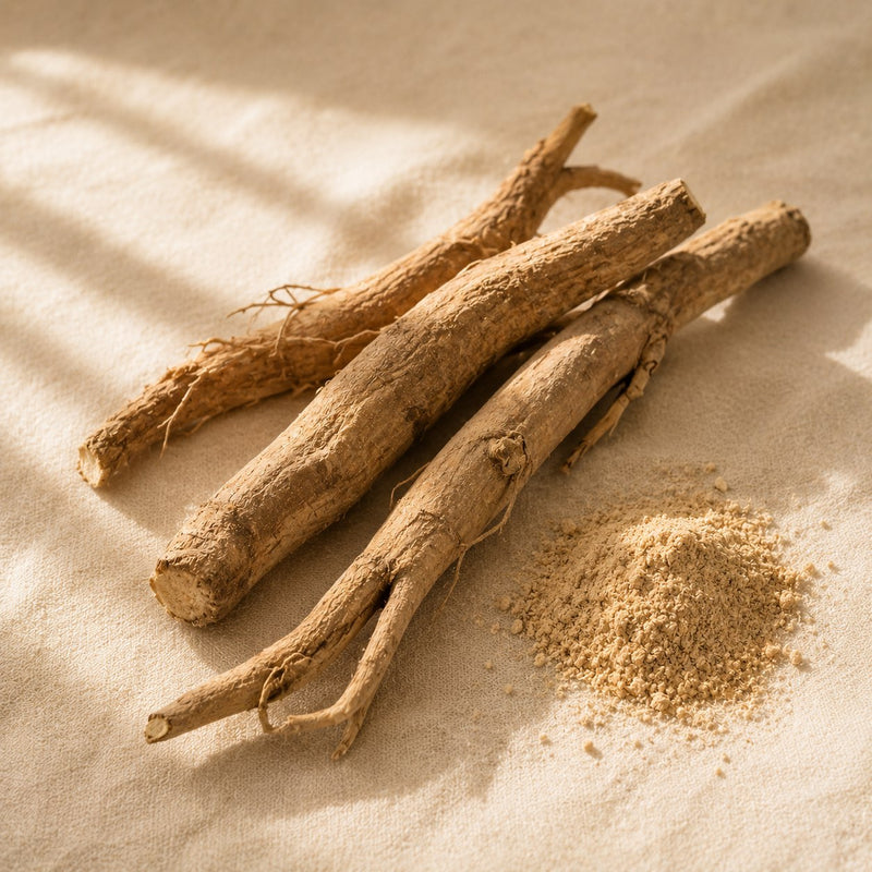 Fresh ashwagandha root — the source of KSM-66 ashwagandha extract used in Vyelle Daily Renewal at 300mg per scoop, for stress resilience in women 45+.